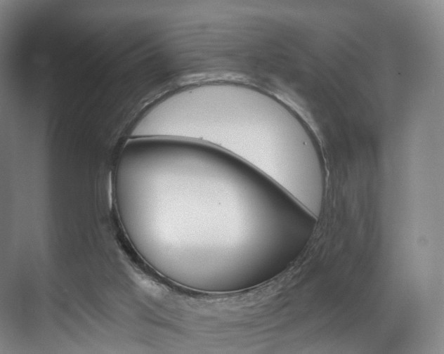 X0000071850013200606301142