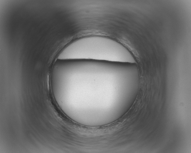 X0000071850014200606301142