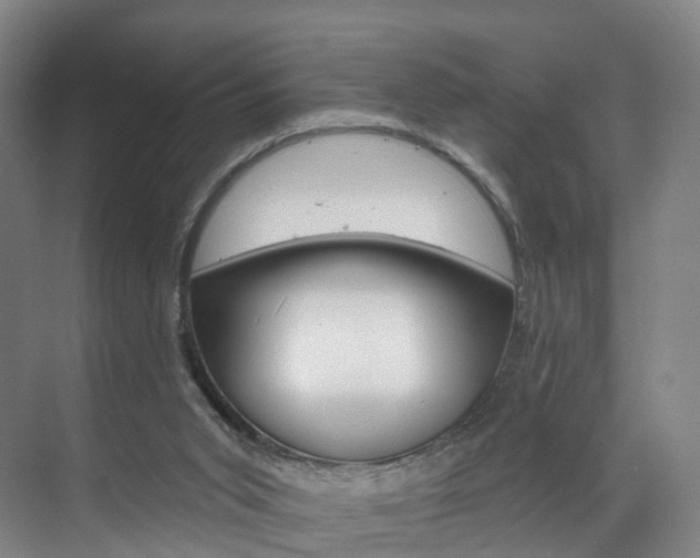 X0000071850015200606301141