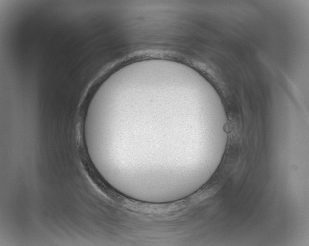 X0000071850016200606301141