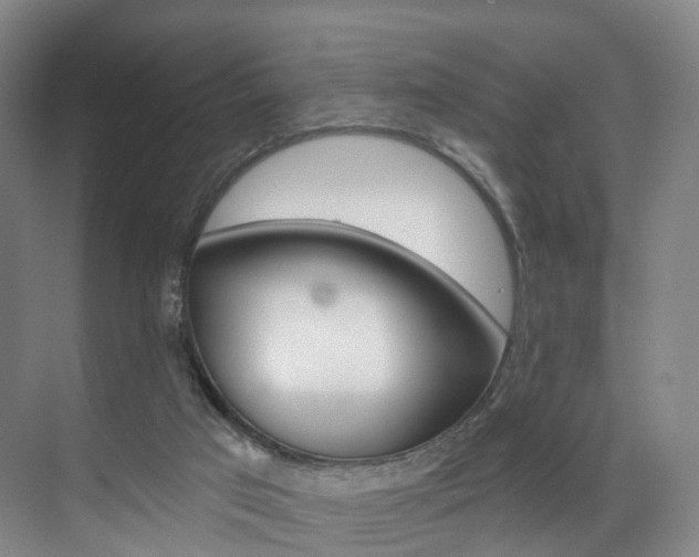 X0000071850017200606301141