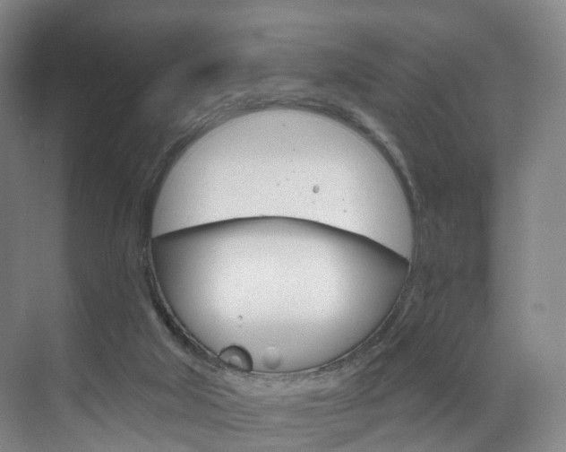 X0000071850018200606301141