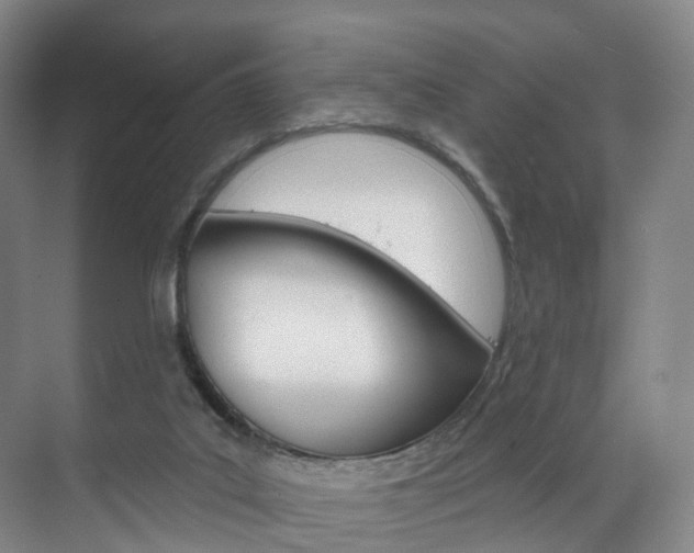 X0000071850019200606301141