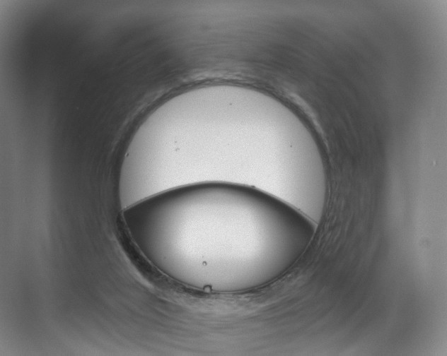 X0000071850020200606301141