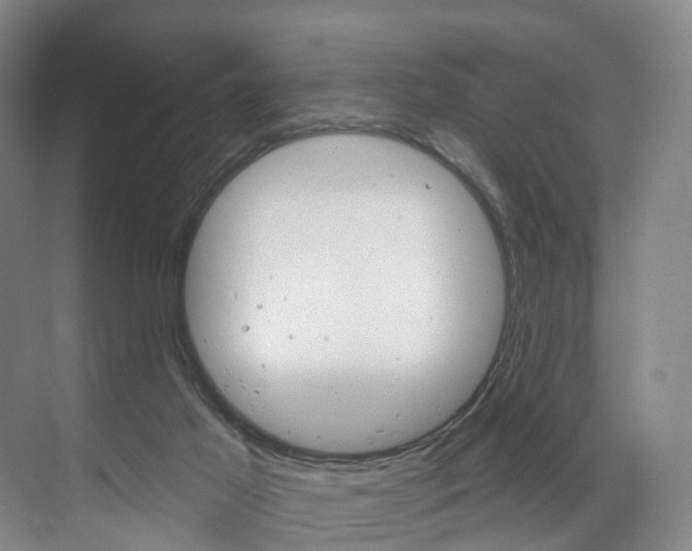 X0000071850021200606301141