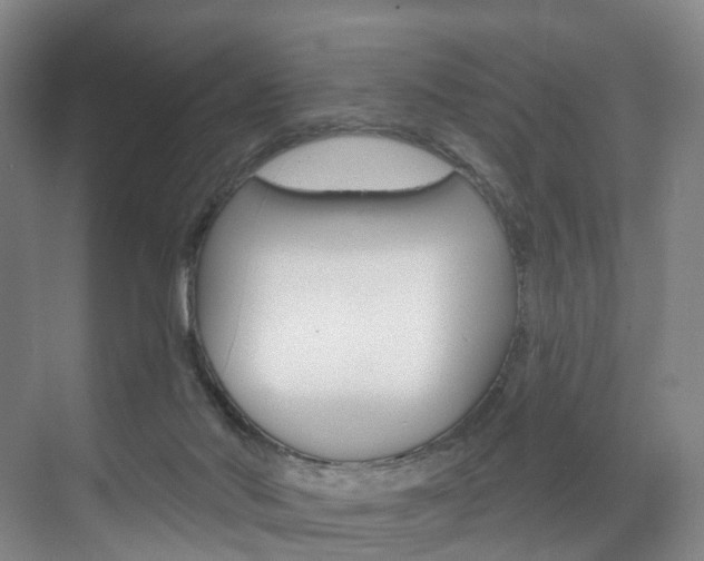 X0000071850022200606301141