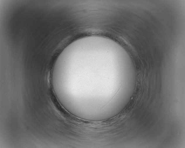 X0000071850024200606301141