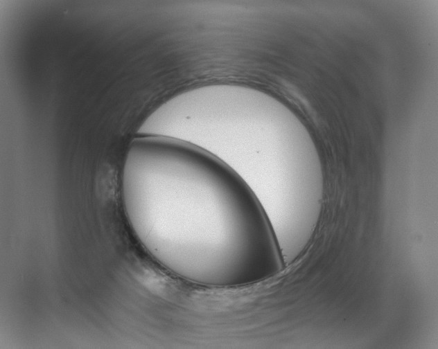 X0000071850025200606301141