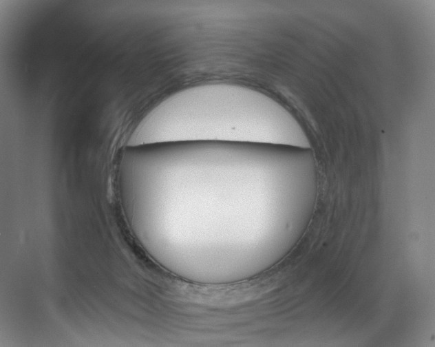 X0000071850026200606301141