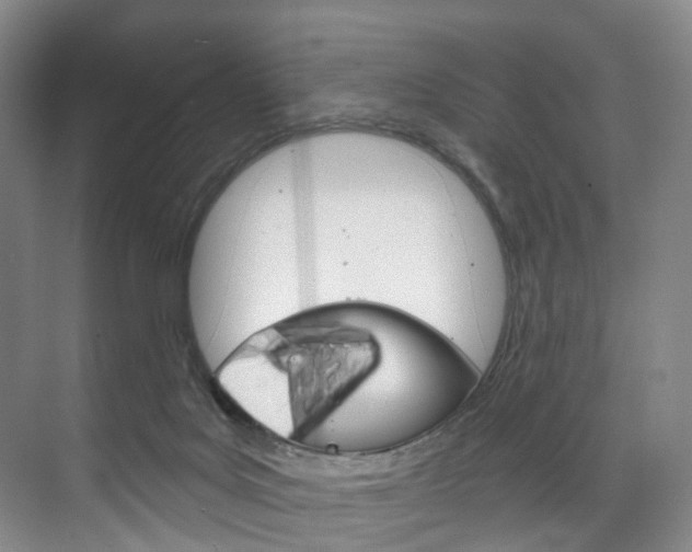 X0000071850027200606301141