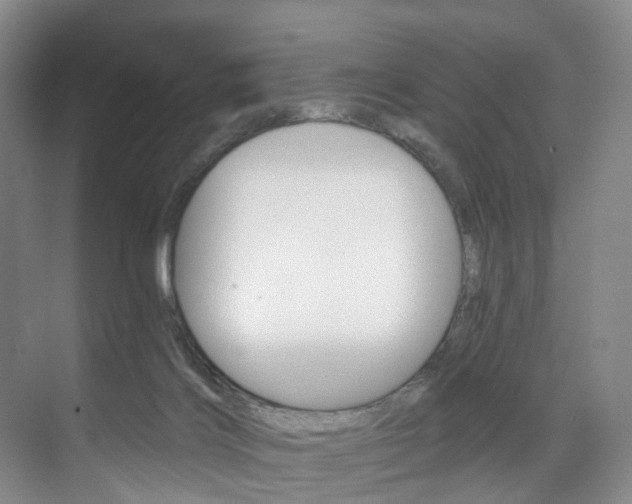 X0000071850028200606301141