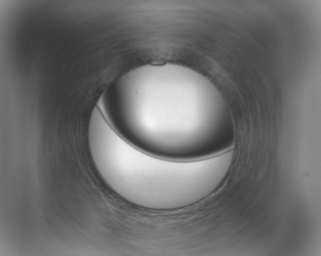 X0000071850029200606301141