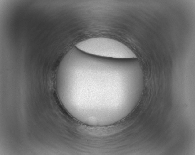 X0000071850030200606301141