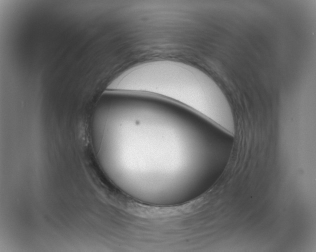 X0000071850031200606301141