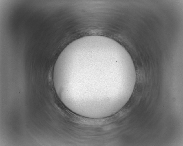 X0000071850032200606301141