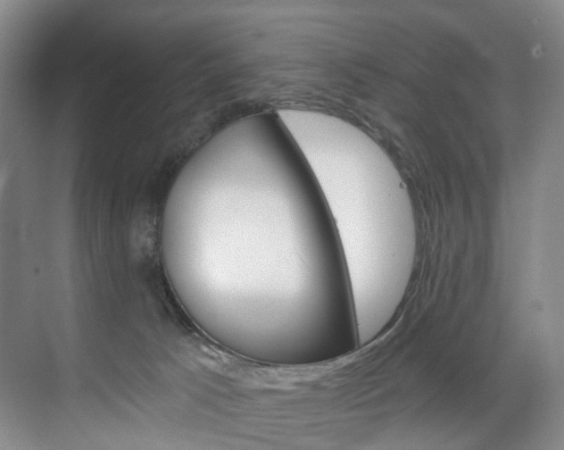 X0000071850033200606301141