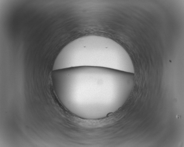 X0000071850034200606301141