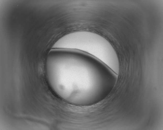 X0000071850035200606301141