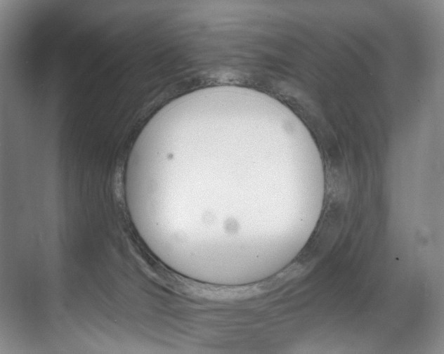 X0000071850036200606301141