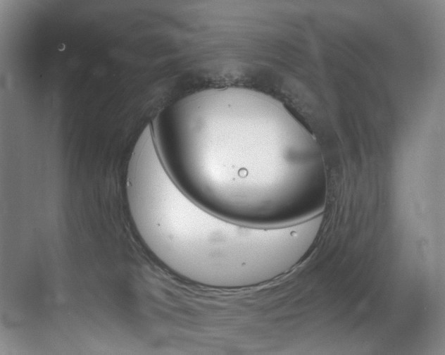 X0000071850037200606301141