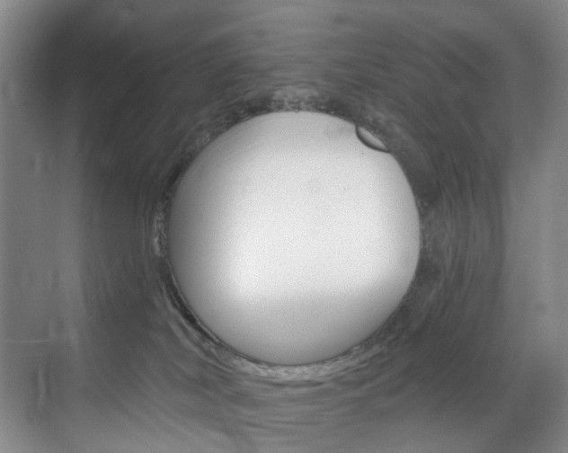 X0000071850038200606301141