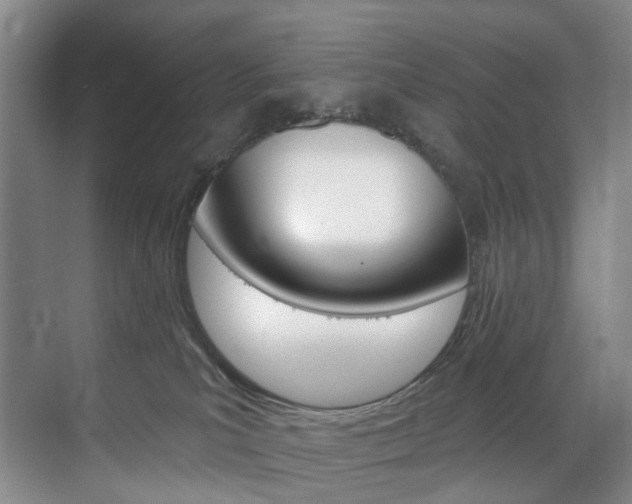 X0000071850039200606301141