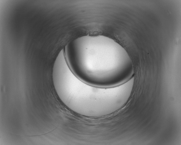 X0000071850041200606301141