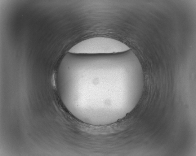 X0000071850042200606301141