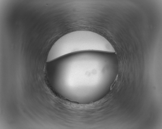 X0000071850043200606301141