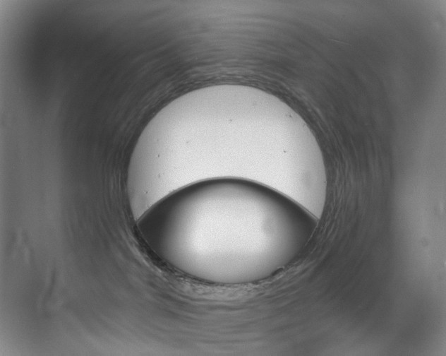 X0000071850044200606301141