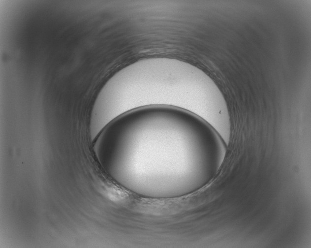 X0000071850045200606301141