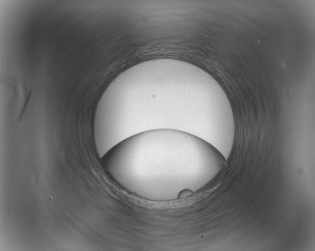 X0000071850046200606301141