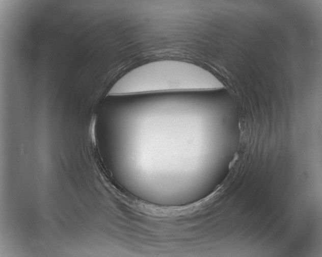 X0000071850047200606301141