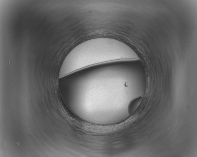 X0000071850048200606301141