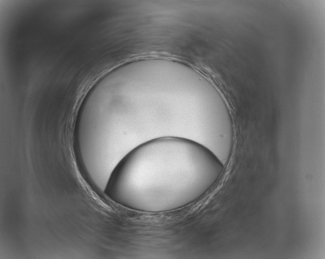 X0000071850049200606301140