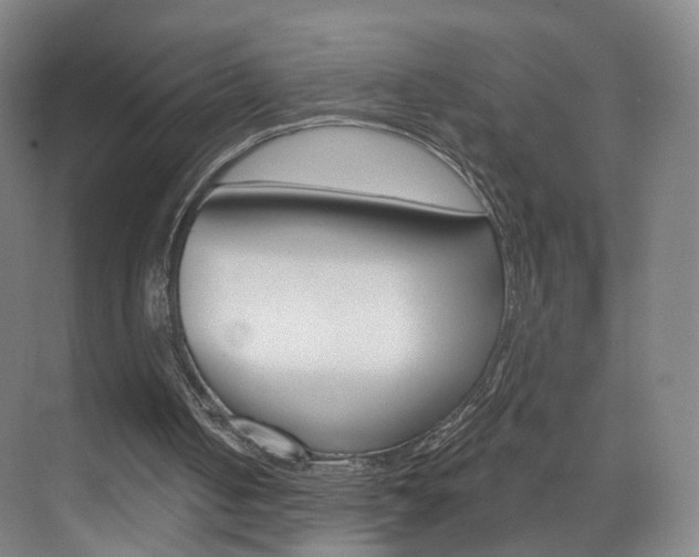 X0000071850050200606301140