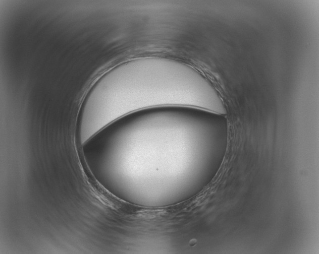 X0000071850051200606301140