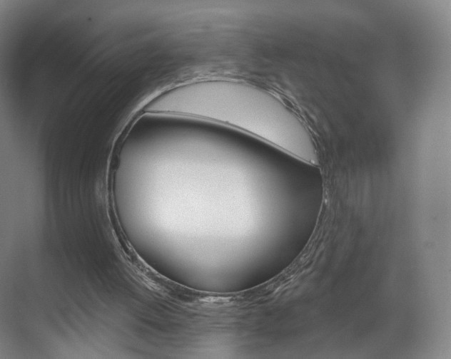 X0000071850052200606301140