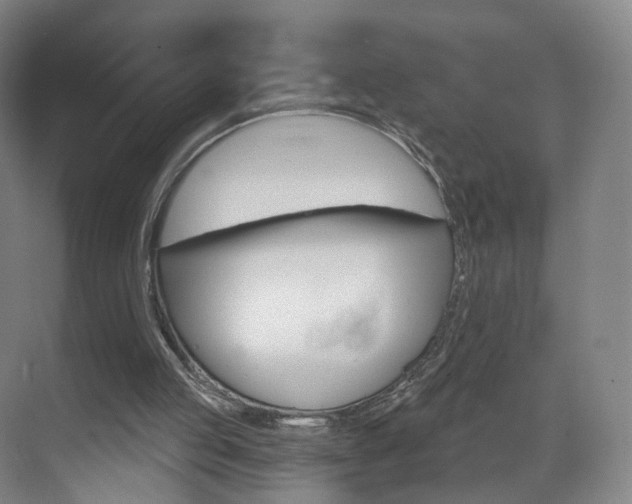 X0000071850053200606301140