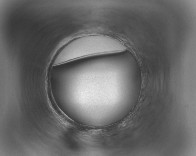 X0000071850054200606301140