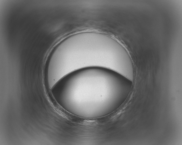 X0000071850055200606301140