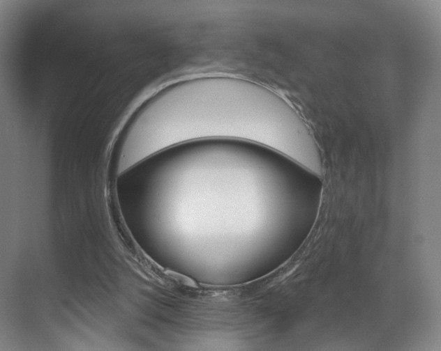 X0000071850056200606301140