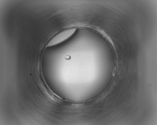 X0000071850057200606301140