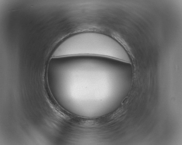 X0000071850058200606301140