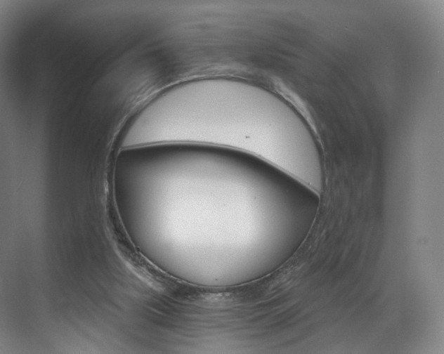 X0000071850059200606301140