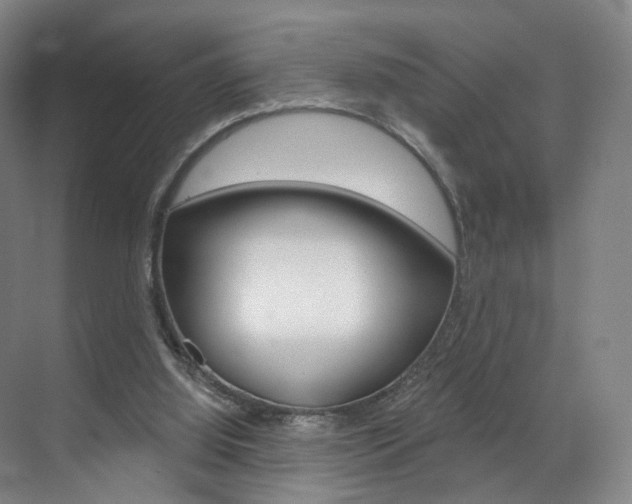 X0000071850060200606301140