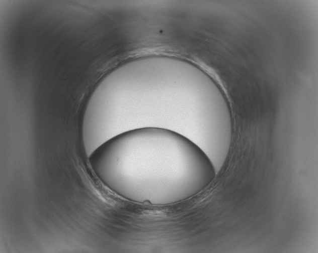 X0000071850061200606301140