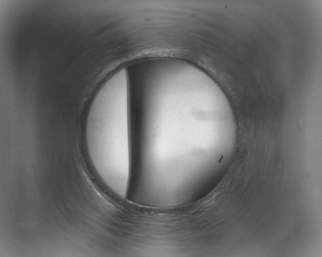 X0000071850062200606301140