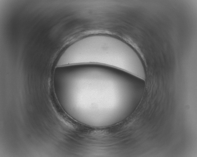 X0000071850063200606301140