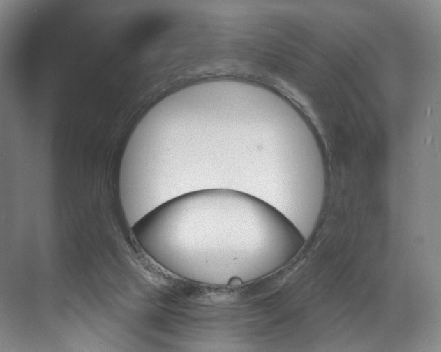 X0000071850065200606301140